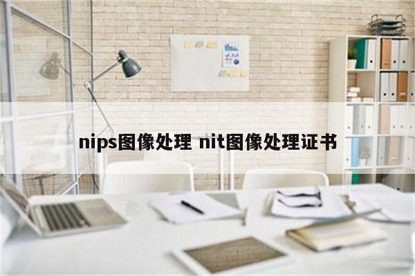 nips图像处理 nit图像处理证书