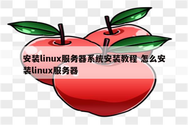 安装linux服务器系统安装教程 怎么安装linux服务器