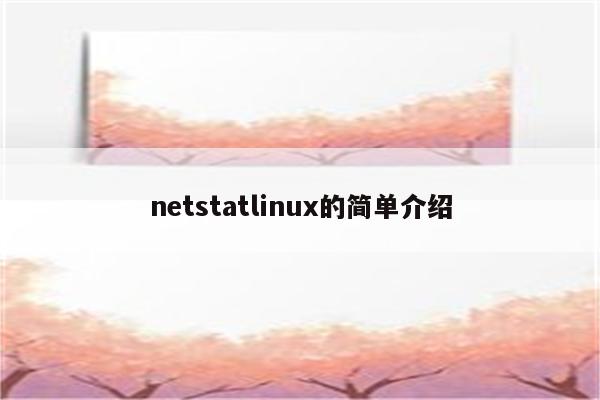 netstatlinux的简单介绍