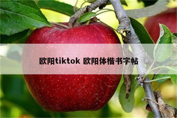 欧阳tiktok 欧阳体楷书字帖