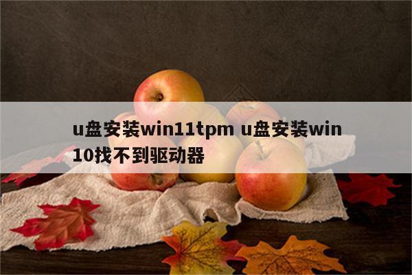 u盘安装win11tpm u盘安装win10找不到驱动器