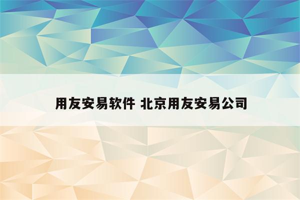 用友安易软件 北京用友安易公司