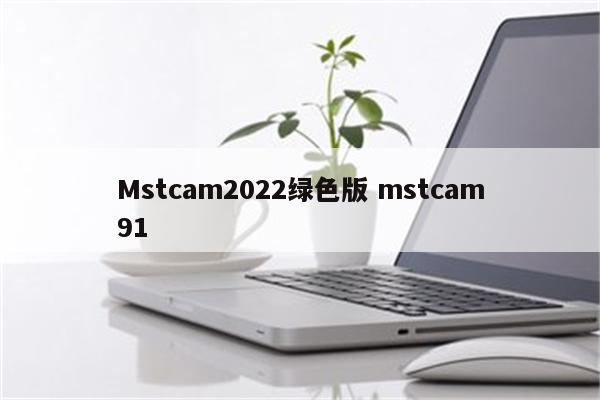 Mstcam2022绿色版 mstcam91