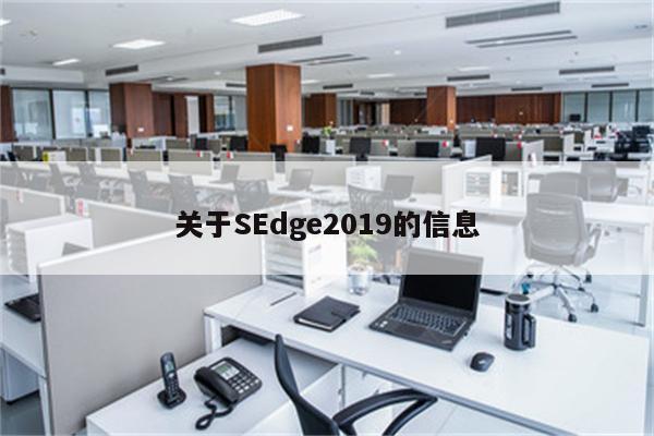 关于SEdge2019的信息