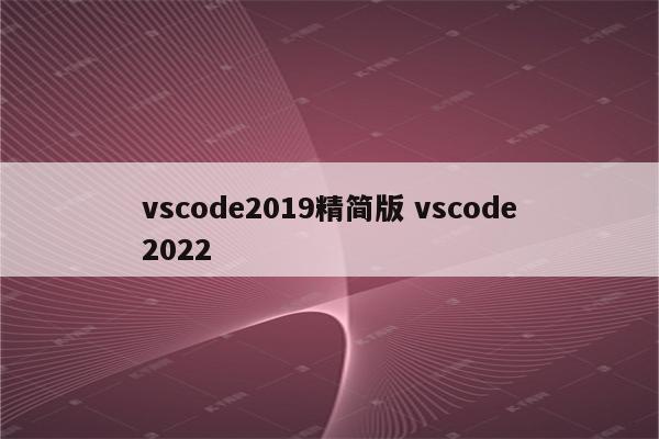 vscode2019精简版 vscode2022