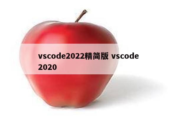 vscode2022精简版 vscode2020