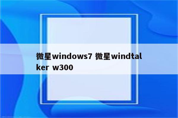 微星windows7 微星windtalker w300