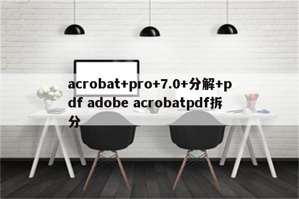 acrobat+pro+7.0+分解+pdf adobe acrobatpdf拆分