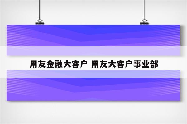 用友金融大客户 用友大客户事业部