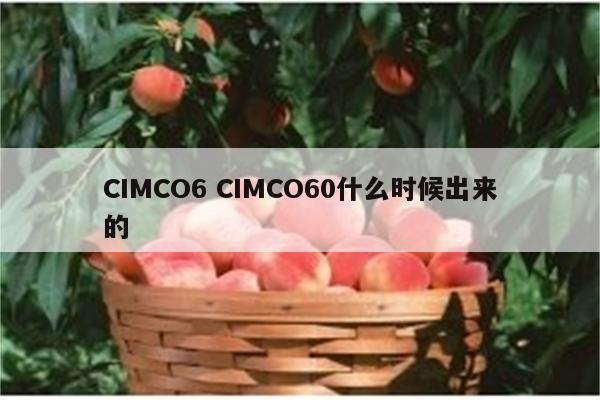 CIMCO6 CIMCO60什么时候出来的