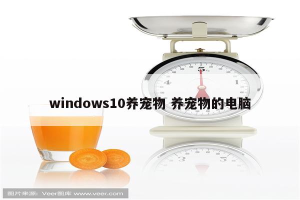 windows10养宠物 养宠物的电脑