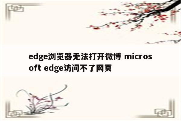 edge浏览器无法打开微博 microsoft edge访问不了网页