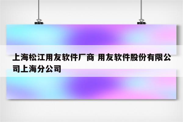 上海松江用友软件厂商 用友软件股份有限公司上海分公司