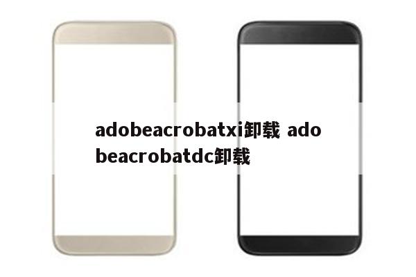 adobeacrobatxi卸载 adobeacrobatdc卸载