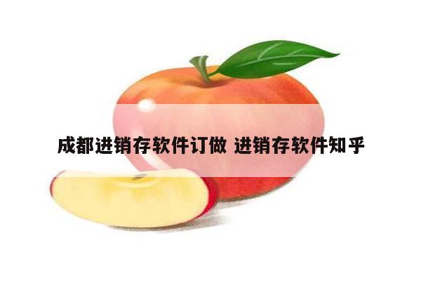 成都进销存软件订做 进销存软件知乎