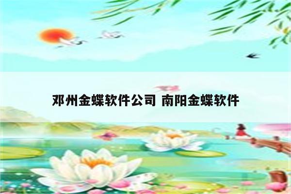 邓州金蝶软件公司 南阳金蝶软件