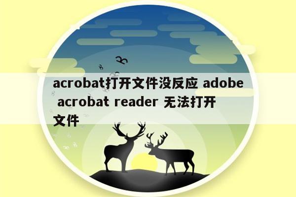 acrobat打开文件没反应 adobe acrobat reader 无法打开文件