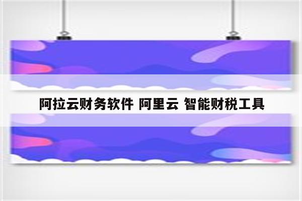 阿拉云财务软件 阿里云 智能财税工具