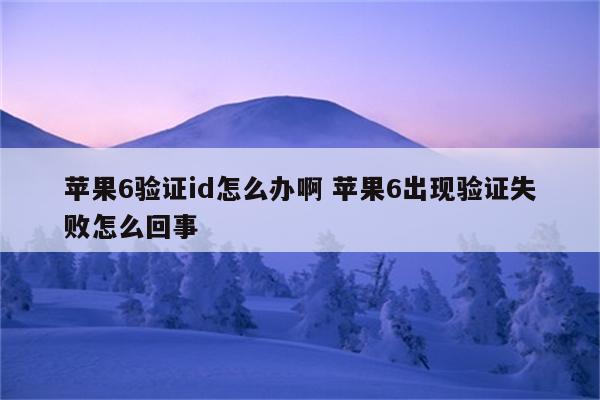 苹果6验证id怎么办啊 苹果6出现验证失败怎么回事