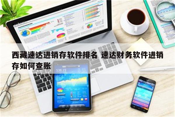 西藏速达进销存软件排名 速达财务软件进销存如何查账