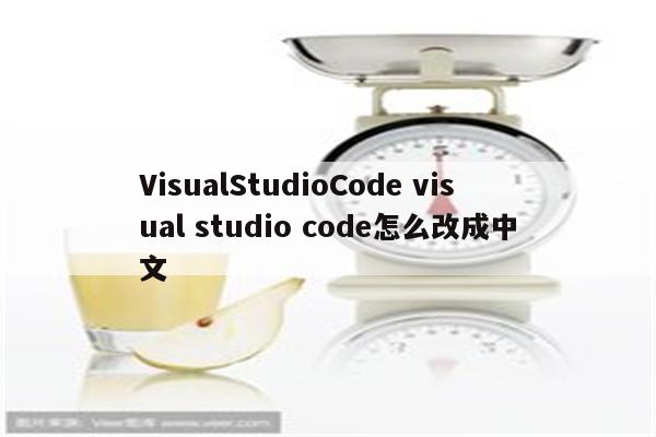 VisualStudioCode visual studio code怎么改成中文