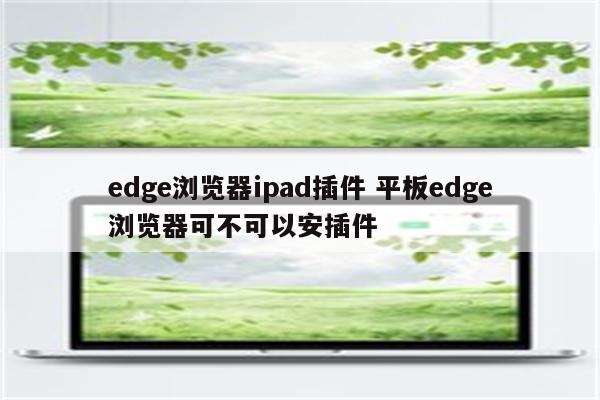 edge浏览器ipad插件 平板edge浏览器可不可以安插件