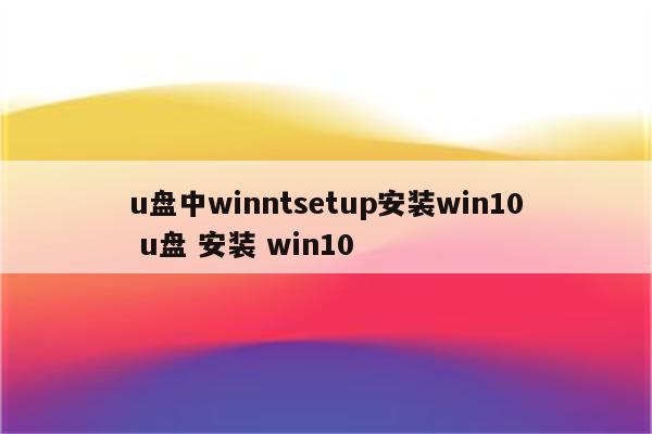 u盘中winntsetup安装win10 u盘 安装 win10