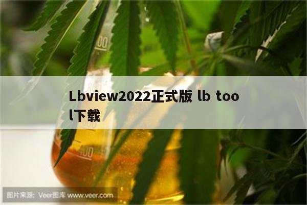 Lbview2022正式版 lb tool下载