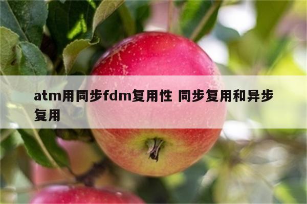 atm用同步fdm复用性 同步复用和异步复用