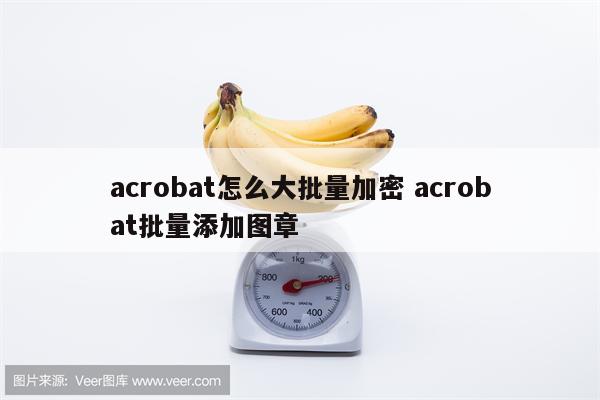 acrobat怎么大批量加密 acrobat批量添加图章