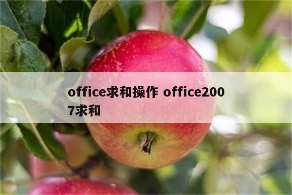 office求和操作 office2007求和