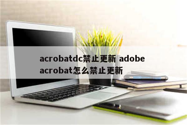 acrobatdc禁止更新 adobe acrobat怎么禁止更新