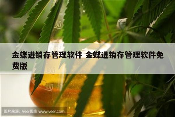 金蝶进销存管理软件 金蝶进销存管理软件免费版