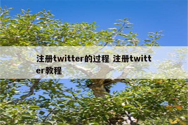 注册twitter的过程 注册twitter教程