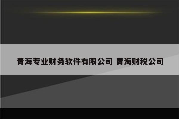 青海专业财务软件有限公司 青海财税公司