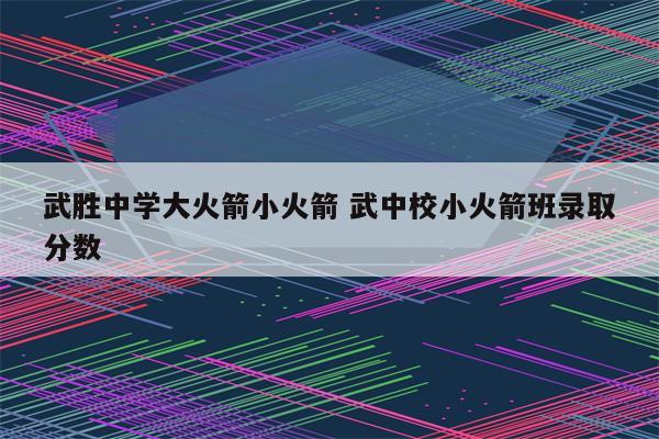 武胜中学大火箭小火箭 武中校小火箭班录取分数