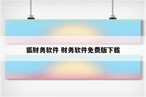 狐财务软件 财务软件免费版下载