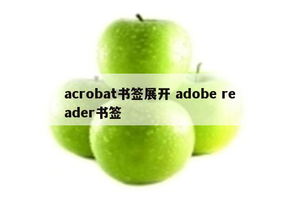 acrobat书签展开 adobe reader书签