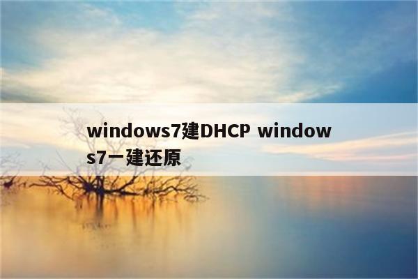 windows7建DHCP windows7一建还原