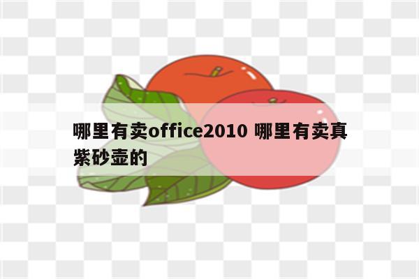 哪里有卖office2010 哪里有卖真紫砂壶的