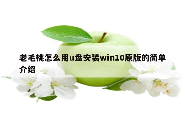 老毛桃怎么用u盘安装win10原版的简单介绍