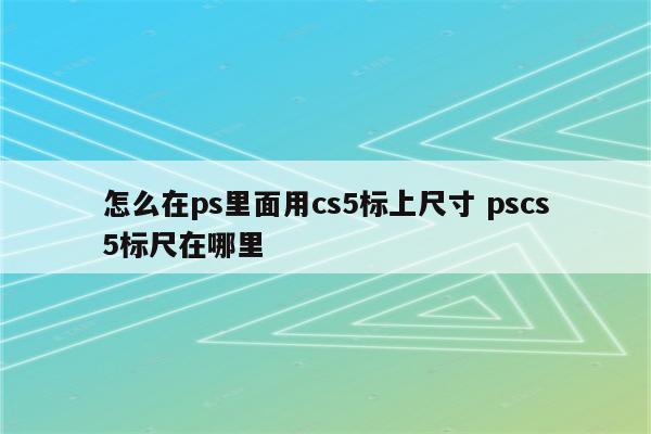 怎么在ps里面用cs5标上尺寸 pscs5标尺在哪里