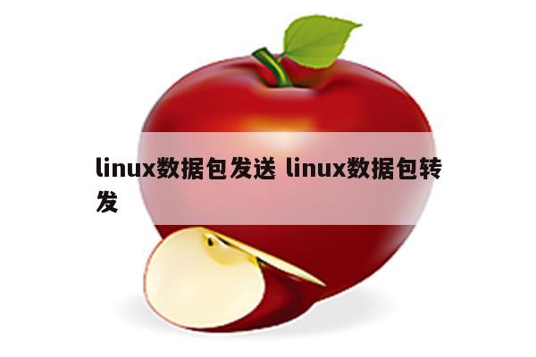 linux数据包发送 linux数据包转发