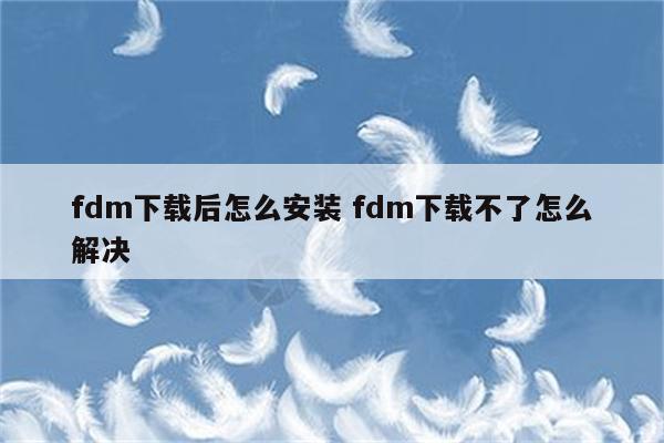 fdm下载后怎么安装 fdm下载不了怎么解决