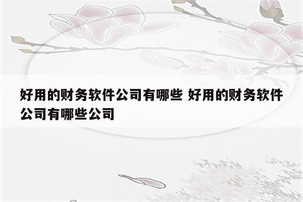 好用的财务软件公司有哪些 好用的财务软件公司有哪些公司