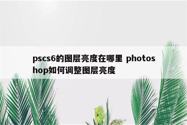 pscs6的图层亮度在哪里 photoshop如何调整图层亮度