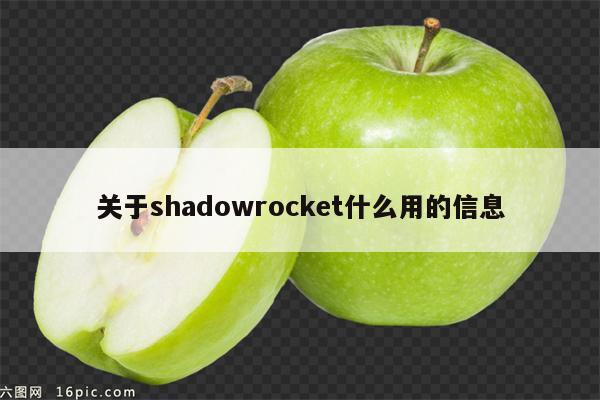 关于shadowrocket什么用的信息