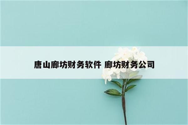 唐山廊坊财务软件 廊坊财务公司