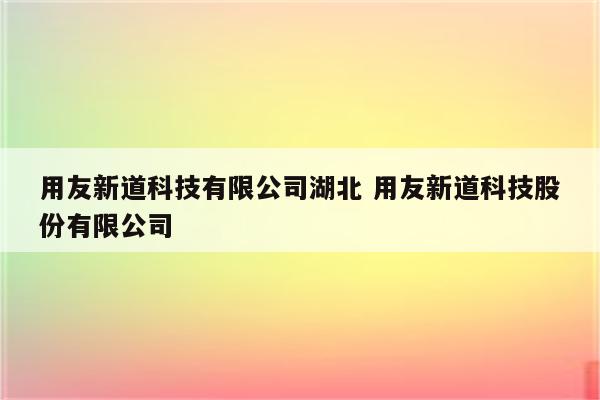 用友新道科技有限公司湖北 用友新道科技股份有限公司