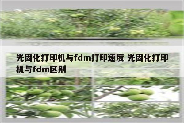 光固化打印机与fdm打印速度 光固化打印机与fdm区别